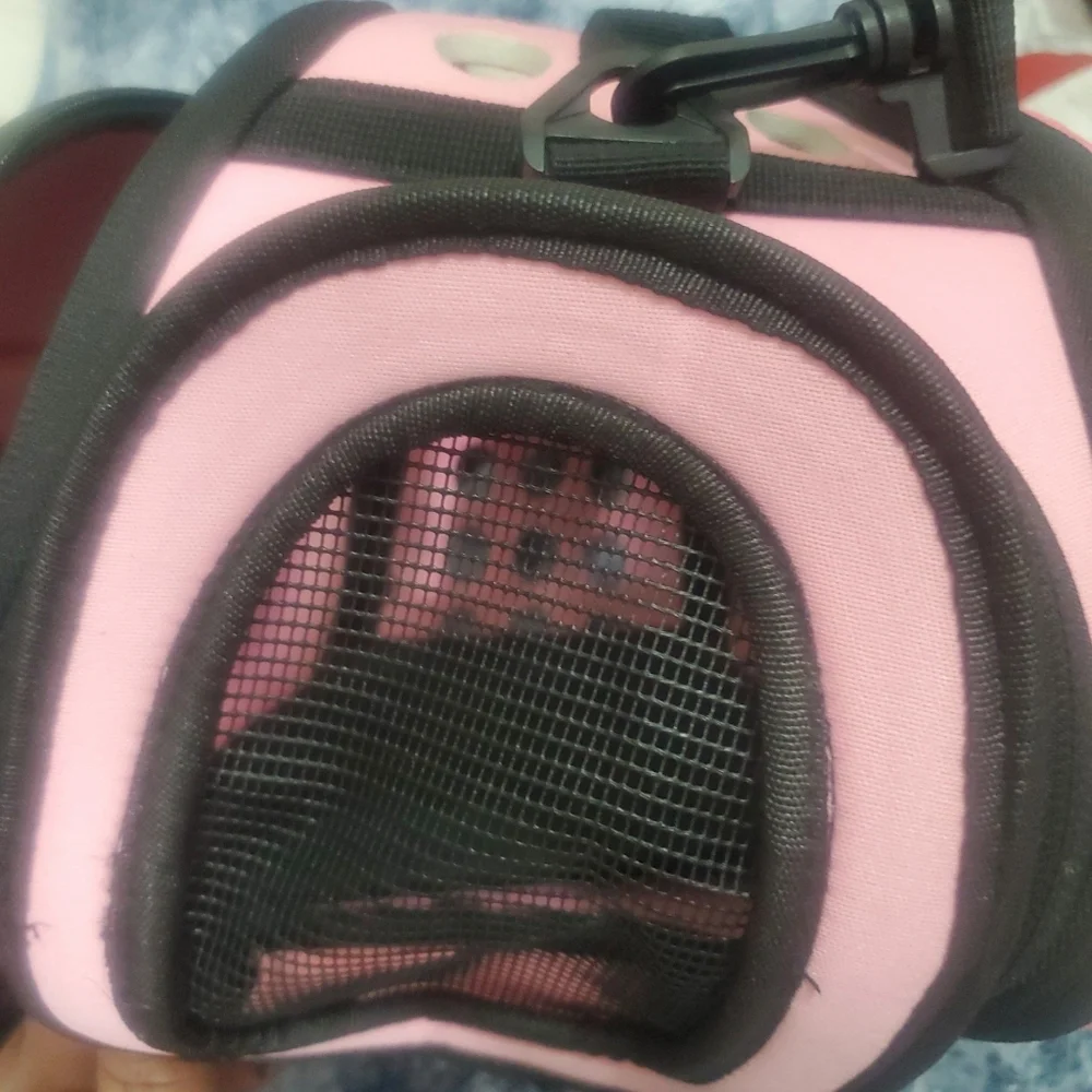 Carrier Bag for Small Pet